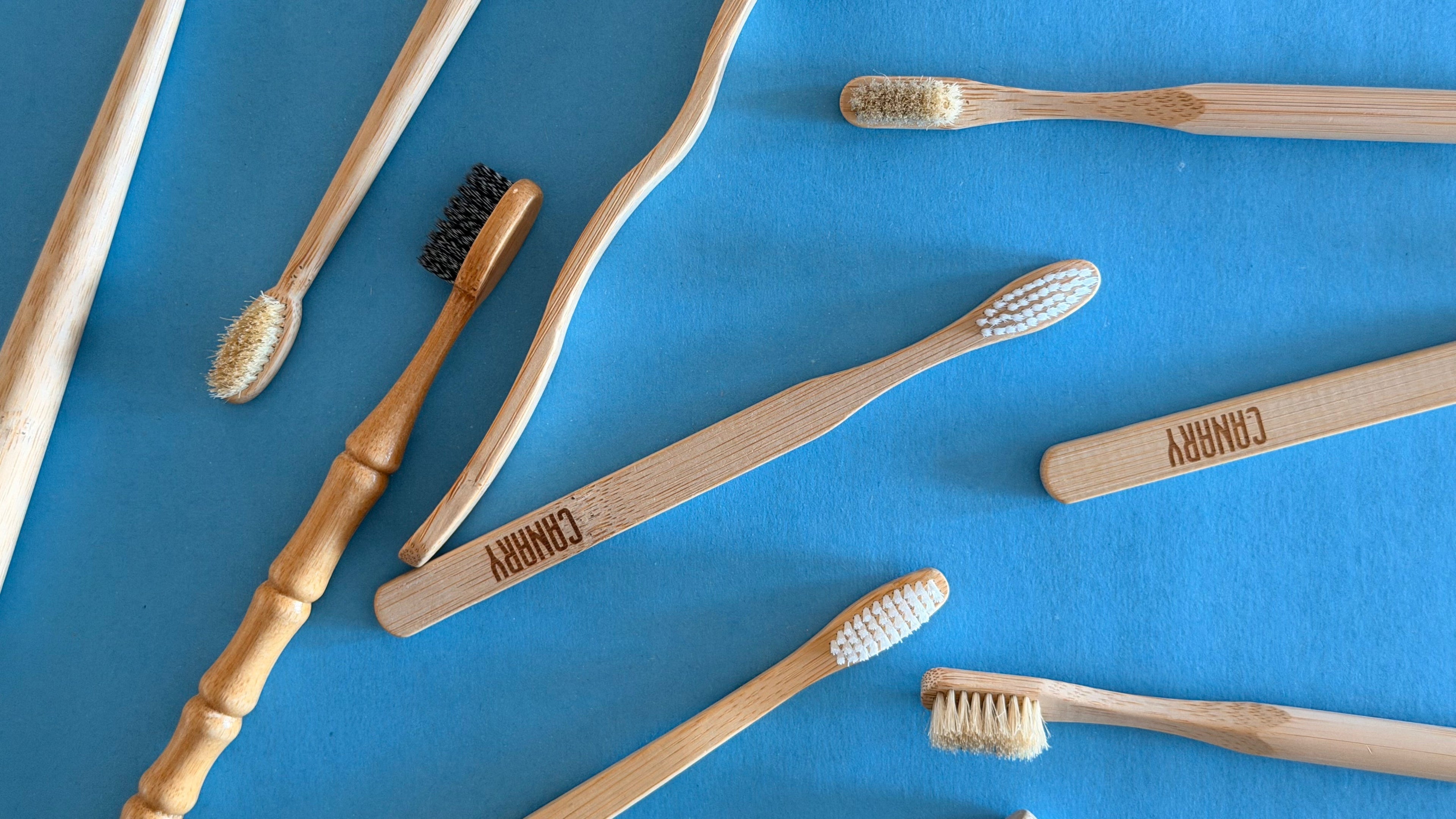 Are Bamboo Toothbrushes Biodegradable? A Practical Guide to Truly Plastic-Free Brushing